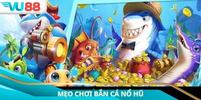 Các phương pháp giúp bạn săn cá dễ trúng