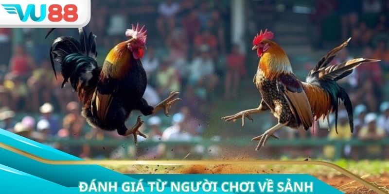 Những ưu điểm nổi bật khiến sảnh trở nên hấp dẫn người chơi